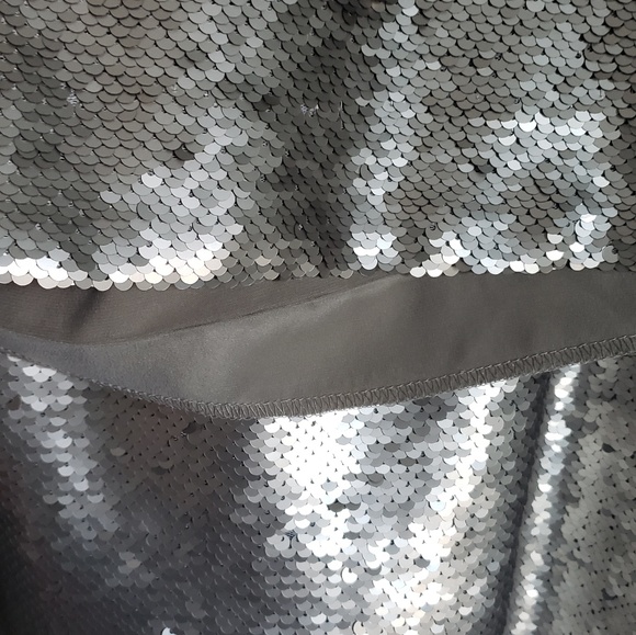 Banana Republic Silver Sequin Layered Dress Petite - Picture 6 of 7